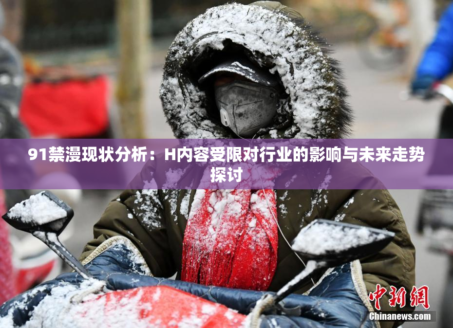 91禁漫现状分析：H内容受限对行业的影响与未来走势探讨