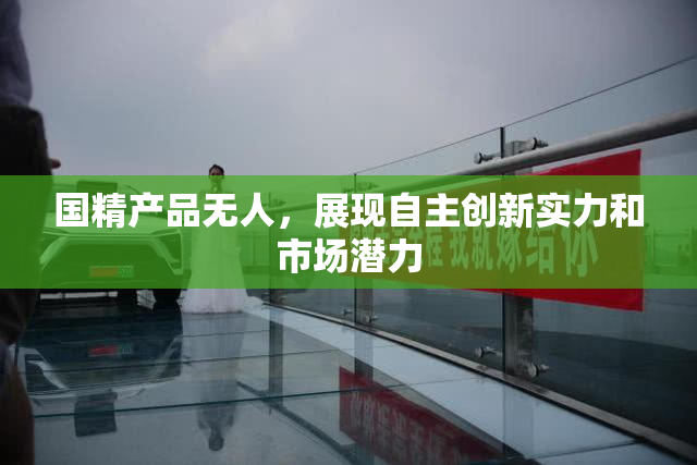 国精产品无人，展现自主创新实力和市场潜力