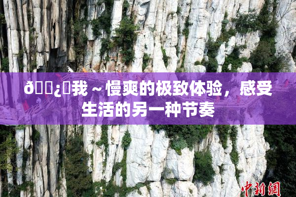 🌿‌我～慢爽的极致体验，感受生活的另一种节奏