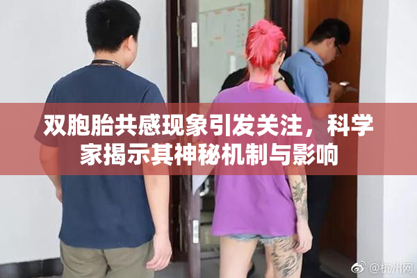 双胞胎共感现象引发关注，科学家揭示其神秘机制与影响