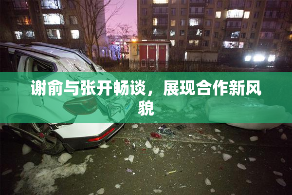 谢俞与张开畅谈，展现合作新风貌