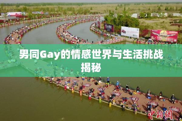 男同Gay的情感世界与生活挑战揭秘
