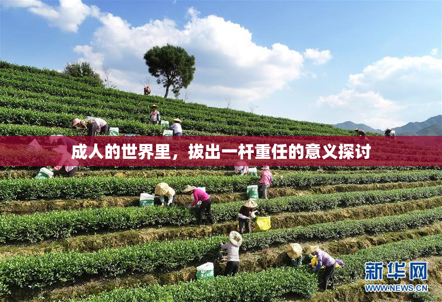 成人的世界里，拔出一杆重任的意义探讨