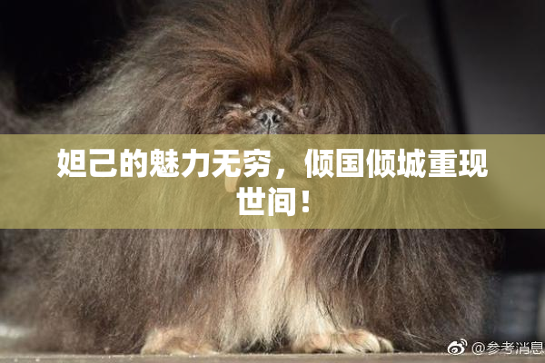 妲己的魅力无穷，倾国倾城重现世间！