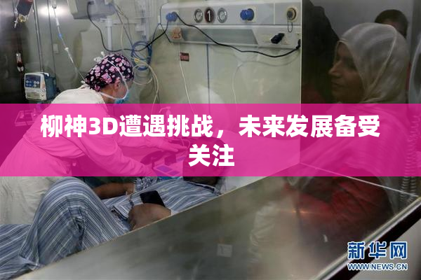 柳神3D遭遇挑战，未来发展备受关注