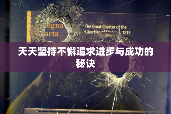 天天坚持不懈追求进步与成功的秘诀