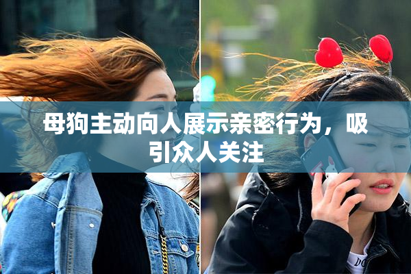 母狗主动向人展示亲密行为，吸引众人关注