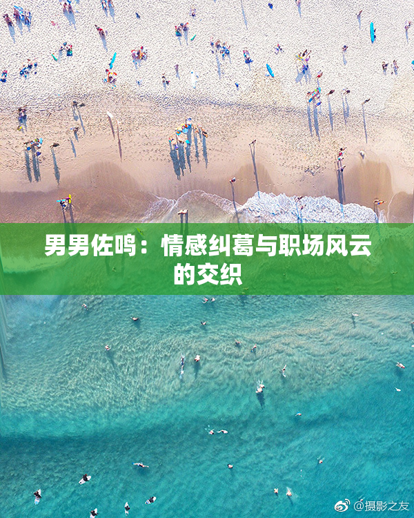 男男佐鸣：情感纠葛与职场风云的交织