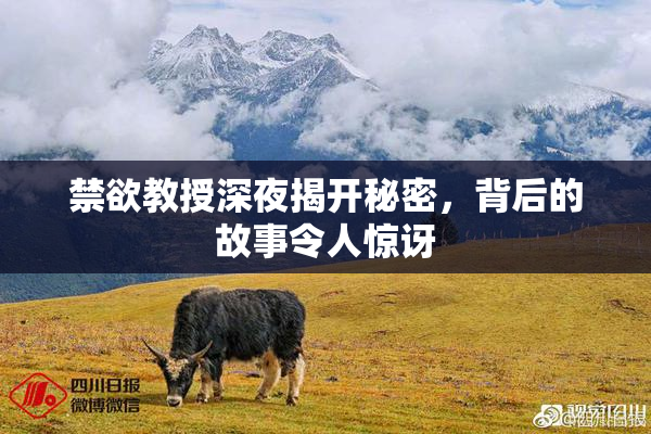 禁欲教授深夜揭开秘密，背后的故事令人惊讶