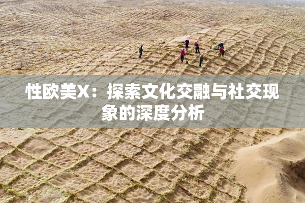 性欧美X：探索文化交融与社交现象的深度分析