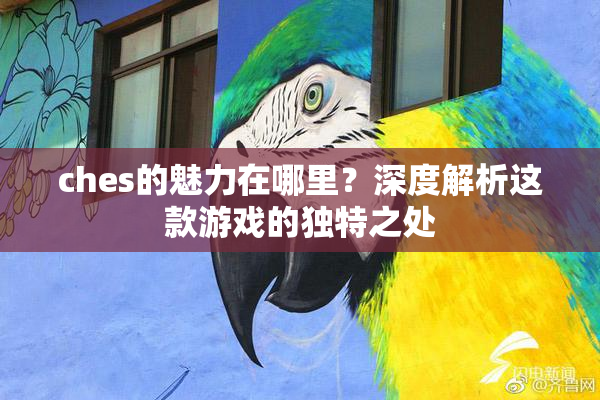 ches的魅力在哪里？深度解析这款游戏的独特之处