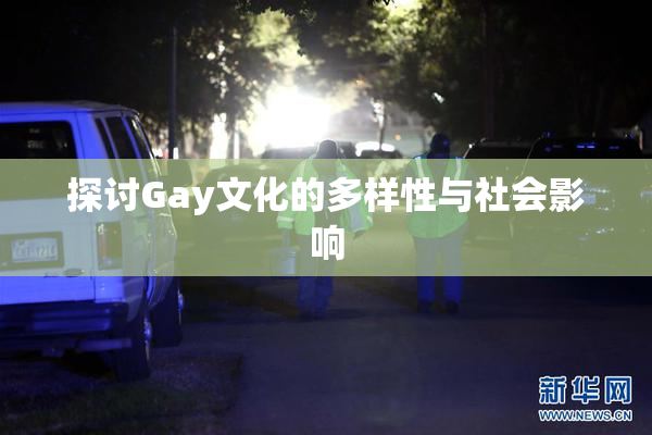 探讨Gay文化的多样性与社会影响
