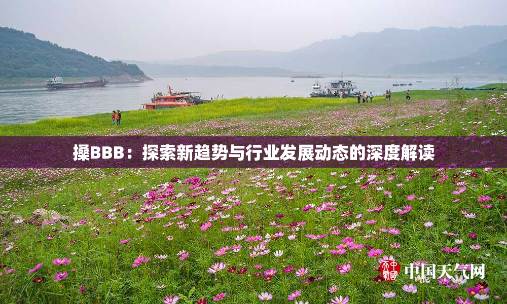 搡BBB：探索新趋势与行业发展动态的深度解读