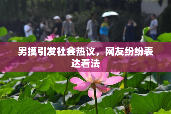 男摸引发社会热议，网友纷纷表达看法
