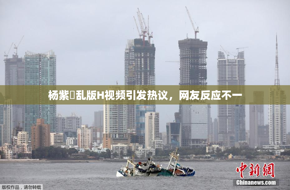 杨紫婬乱版H视频引发热议，网友反应不一
