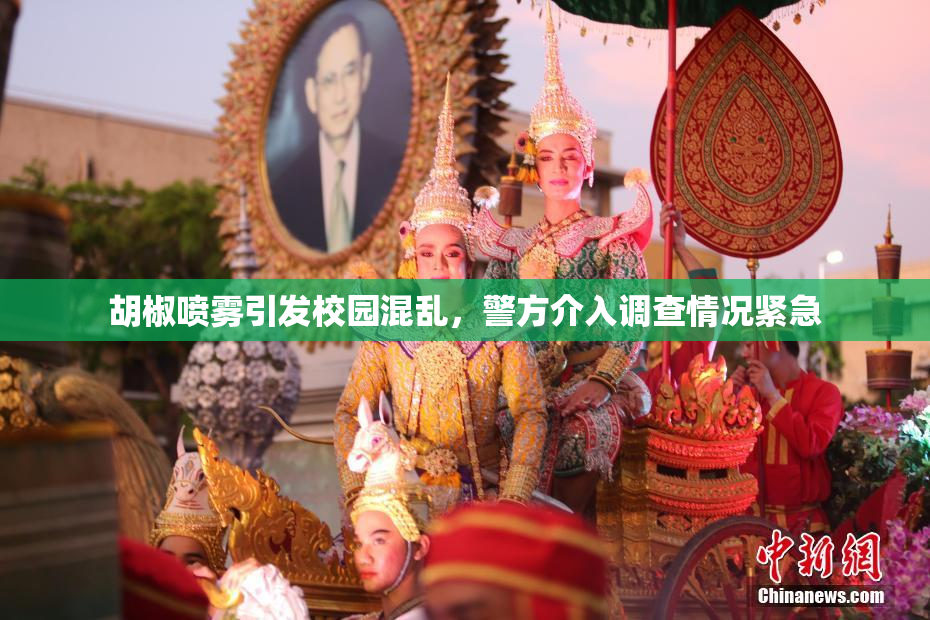 胡椒喷雾引发校园混乱，警方介入调查情况紧急