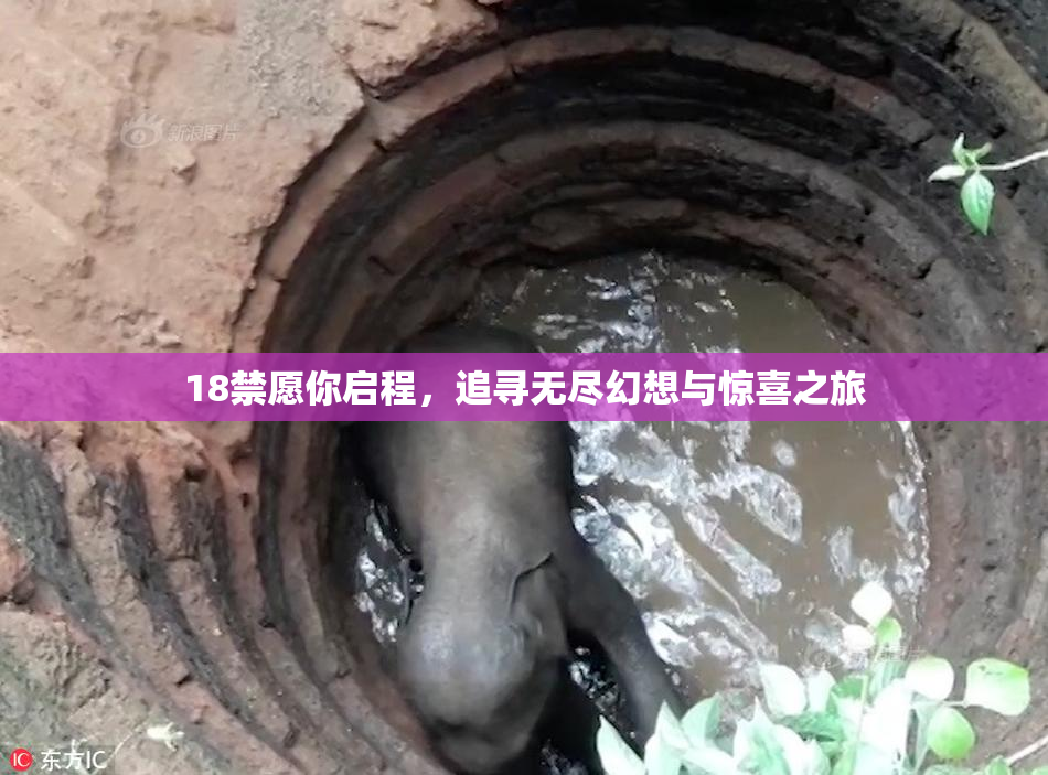18禁愿你启程，追寻无尽幻想与惊喜之旅