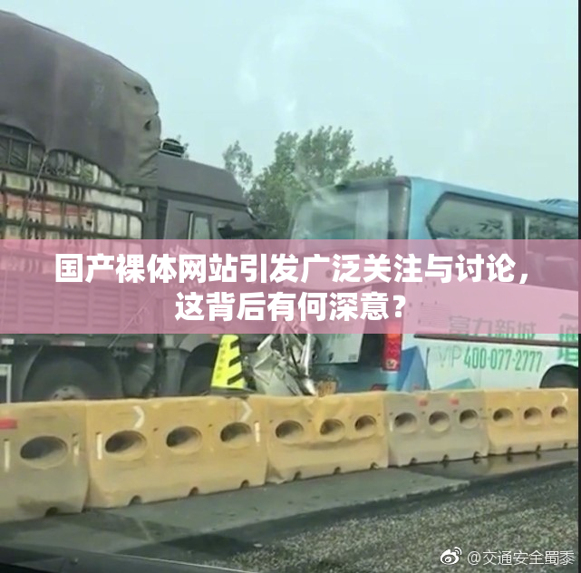 国产裸体网站引发广泛关注与讨论，这背后有何深意？