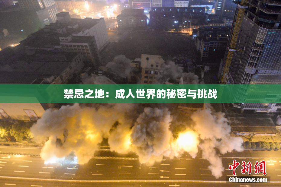 禁忌之地：成人世界的秘密与挑战