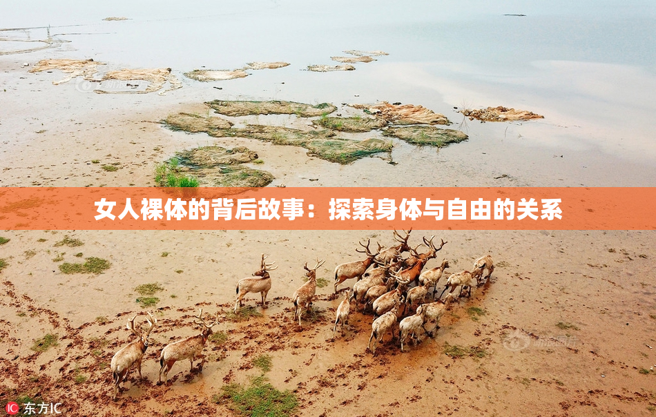 女人裸体的背后故事：探索身体与自由的关系