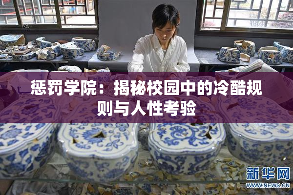 惩罚学院：揭秘校园中的冷酷规则与人性考验