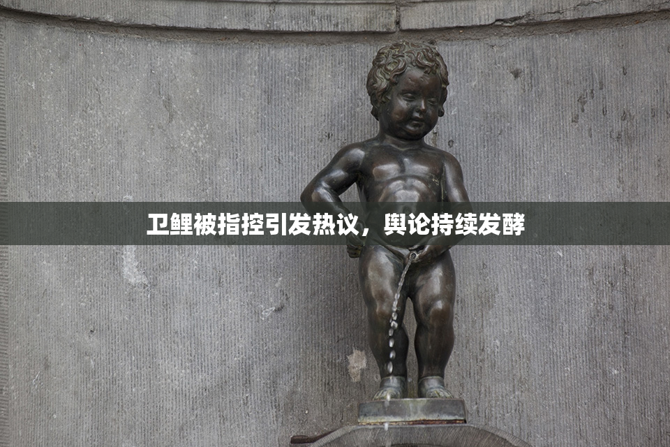 卫鲤被指控引发热议，舆论持续发酵