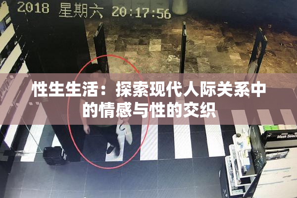 性生生活：探索现代人际关系中的情感与性的交织