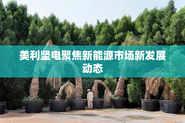 美利坚电聚焦新能源市场新发展动态