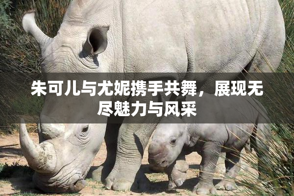 朱可儿与尤妮携手共舞，展现无尽魅力与风采