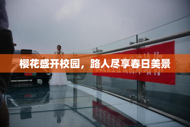 樱花盛开校园，路人尽享春日美景