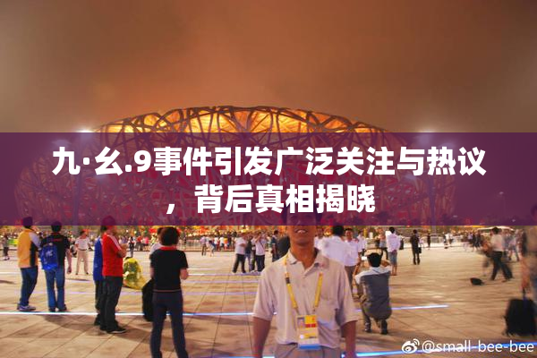 九·幺.9事件引发广泛关注与热议，背后真相揭晓