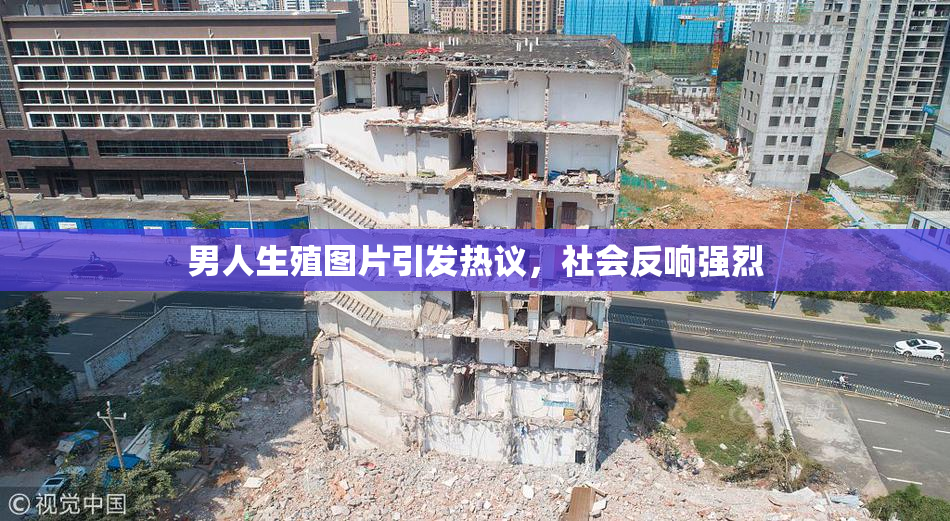 男人生殖图片引发热议，社会反响强烈