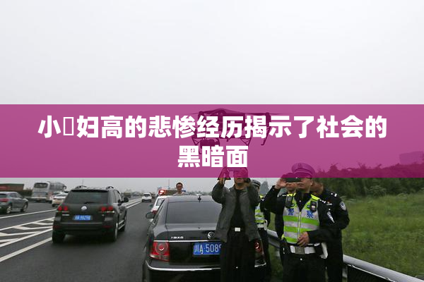 小婬妇高的悲惨经历揭示了社会的黑暗面