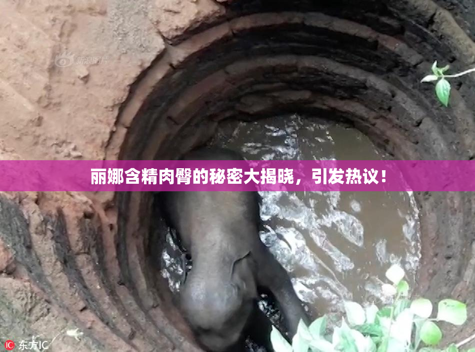 丽娜含精肉臀的秘密大揭晓，引发热议！