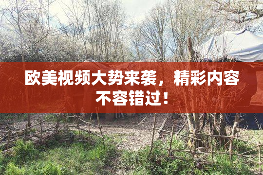 欧美视频大势来袭，精彩内容不容错过！