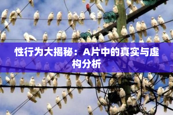 性行为大揭秘：A片中的真实与虚构分析