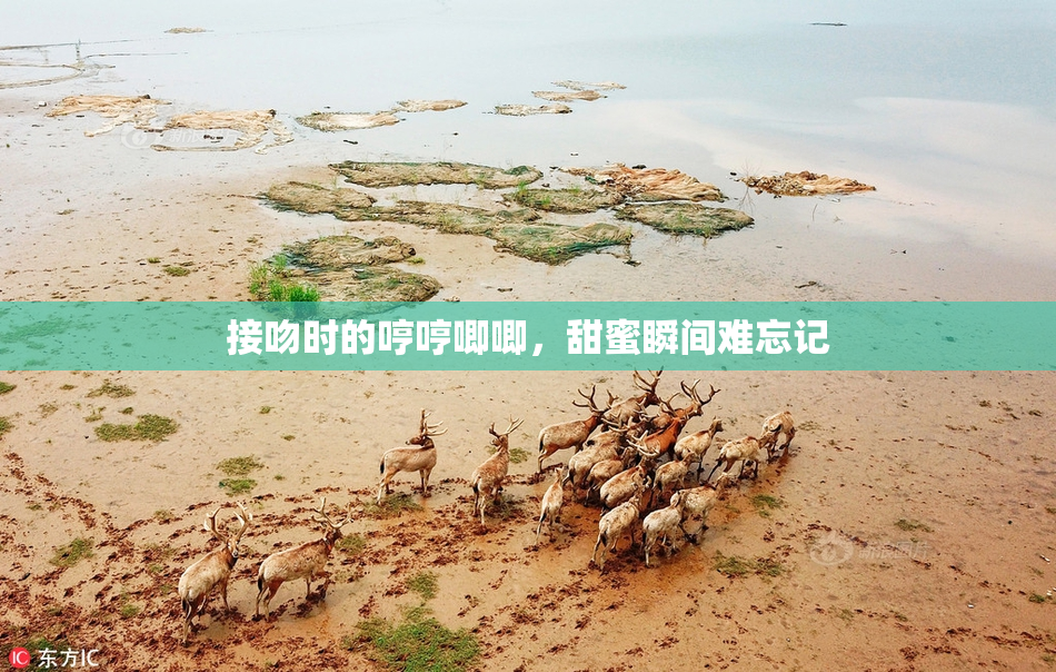 接吻时的哼哼唧唧，甜蜜瞬间难忘记