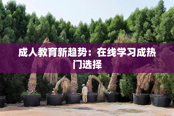 成人教育新趋势：在线学习成热门选择
