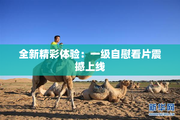 全新精彩体验：一级自慰看片震撼上线