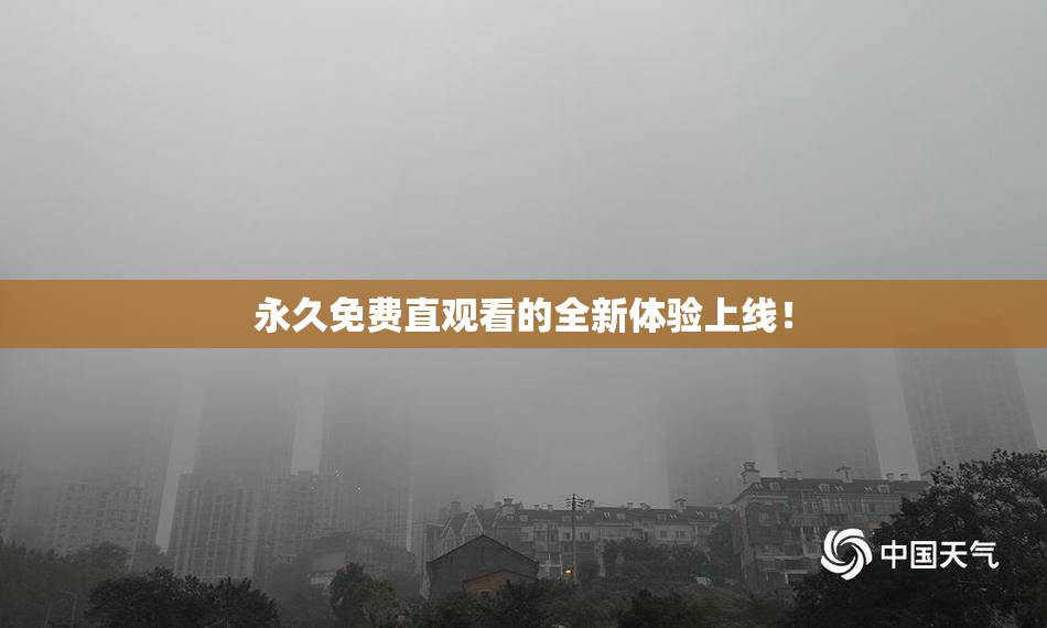 永久免费直观看的全新体验上线！