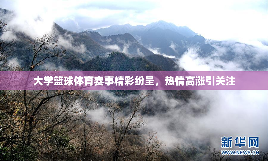 大学篮球体育赛事精彩纷呈，热情高涨引关注