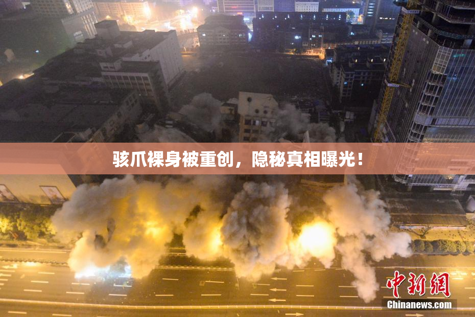 骇爪裸身被重创，隐秘真相曝光！