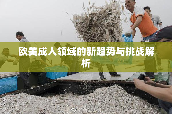 欧美成人领域的新趋势与挑战解析