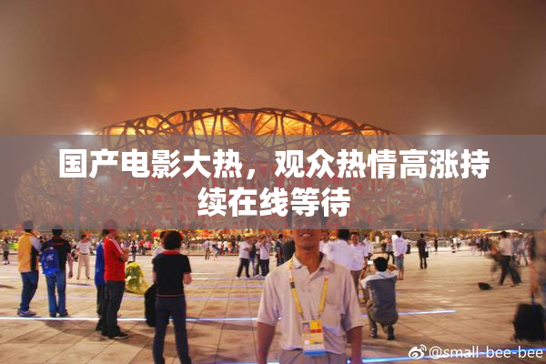 国产电影大热，观众热情高涨持续在线等待