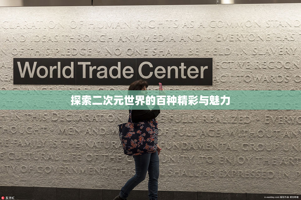 探索二次元世界的百种精彩与魅力