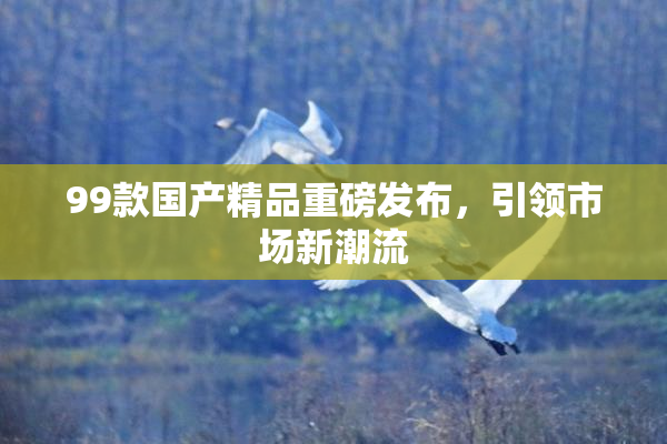 99款国产精品重磅发布，引领市场新潮流
