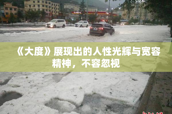 《大度》展现出的人性光辉与宽容精神，不容忽视