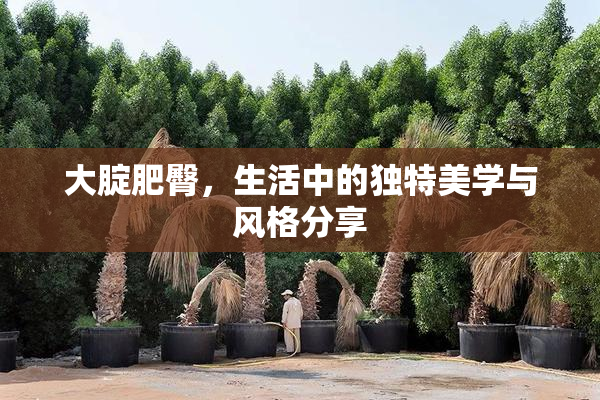 大腚肥臀，生活中的独特美学与风格分享