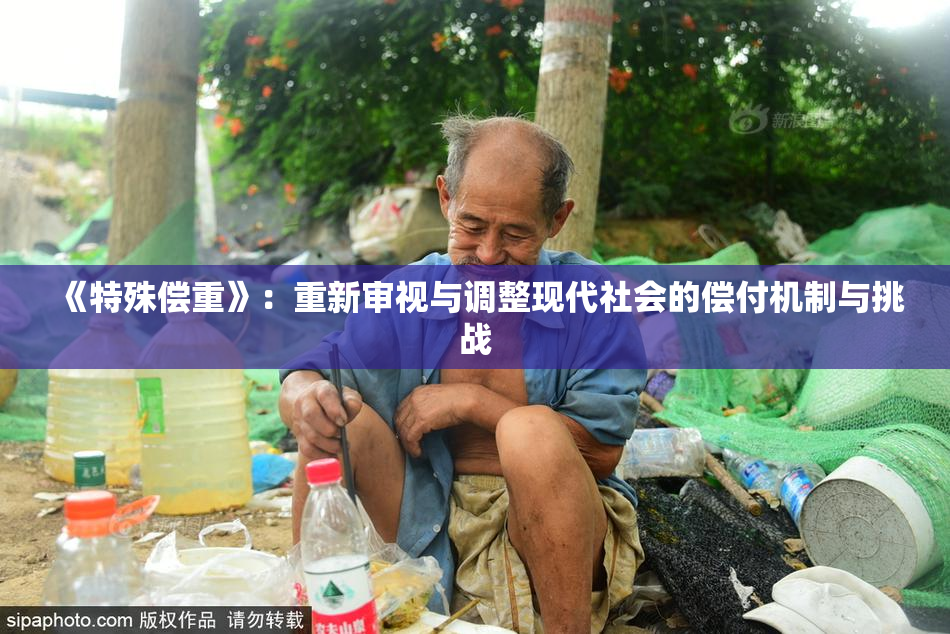 《特殊偿重》：重新审视与调整现代社会的偿付机制与挑战