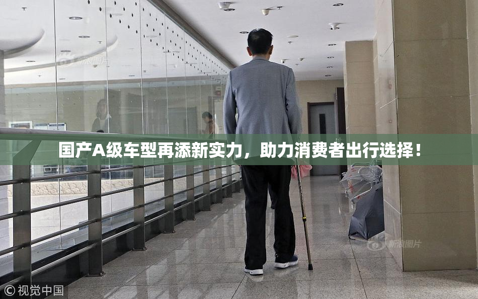 国产A级车型再添新实力，助力消费者出行选择！